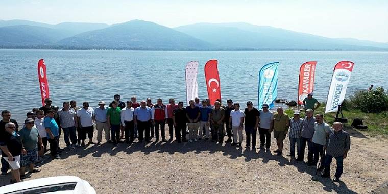 Eşme'de Sapanca gölüne 100 bin sazan salındı 
