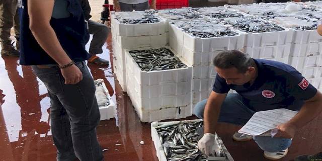 Bursa'da 119 kasa istavrite el kondu!