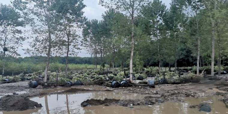 Kırklareli'de sel 2 can aldı