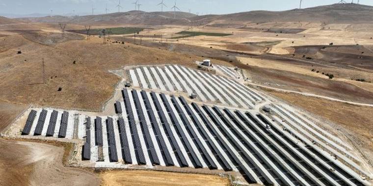 GES paneller 170 bin ağacın kesilmesini önledi!