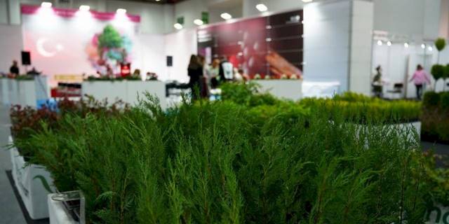Türkiye, dünya süs bitkileri pazarında söz sahibi oluyor!