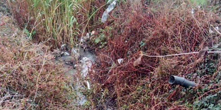 Bu rezalete kim dur diyecek?