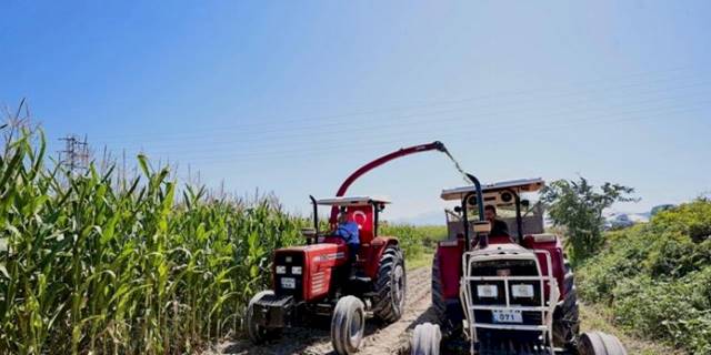 Çiftçilerin mısır sevinci