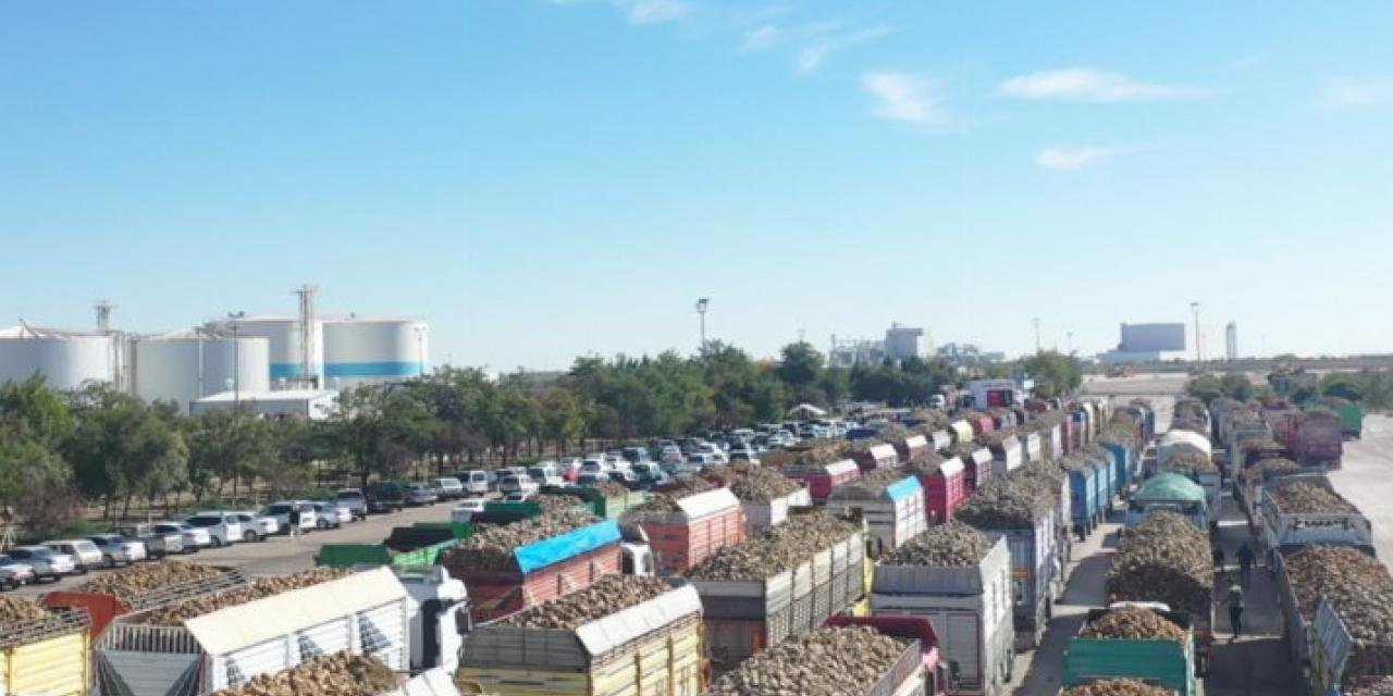 Pancar alım kampanyası başladı