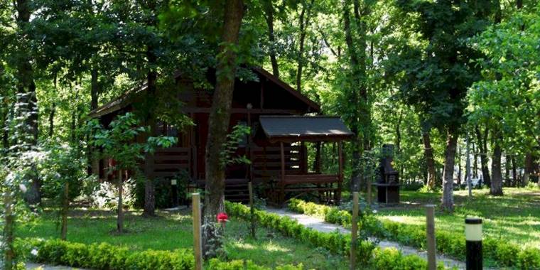 Sakarya'nın oksijen deposuna ziyaretçi akını