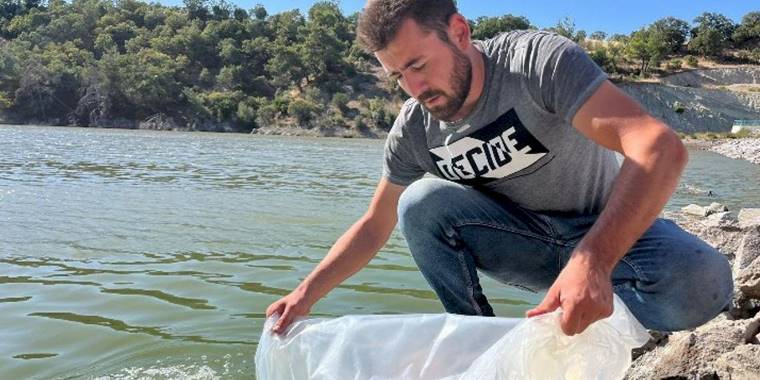 30 bin yavru sazan göletlere salındı