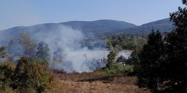 Alevler tabiat parkına ulaşmadan söndürüldü