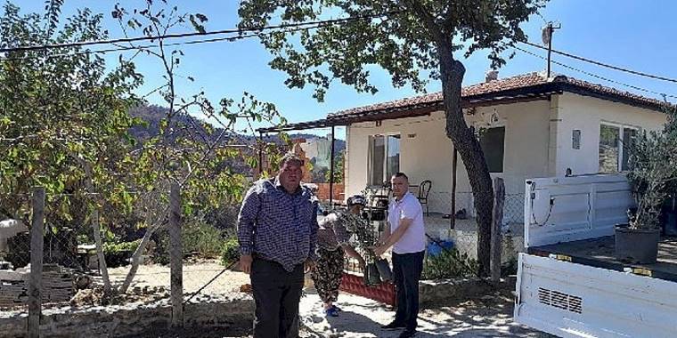 Edremit'ten Çanakkale'ye 250 Zeytin Fidanı