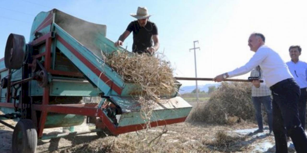 Tarladan sofraya... Cerrah Kuru Fasulyesi'nde hasat başladı