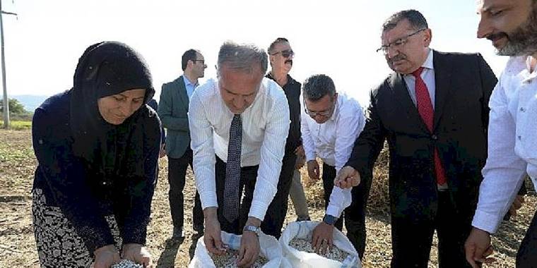 Tarladan Sofraya; Cerrah Kuru Fasulyesi