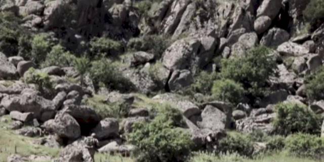 Bakan Yerlikaya: 2 terörist teslim oldu