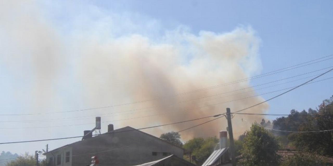 Arazi yangını ormanlık alana sıçramadan söndürüldü