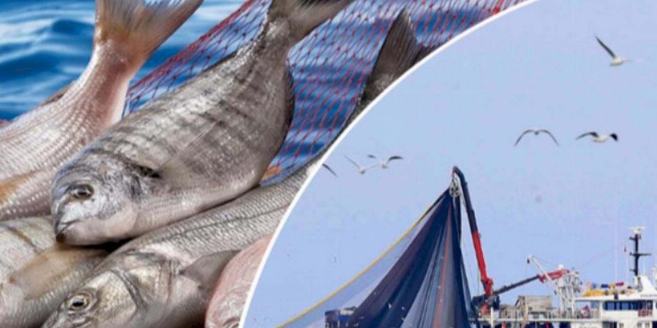 Yasa dışı avcılığa eş zamanlı çapraz denetim