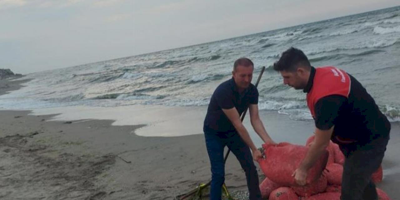 Bursa kırsal sahillerinde kum şırlanı denetimi