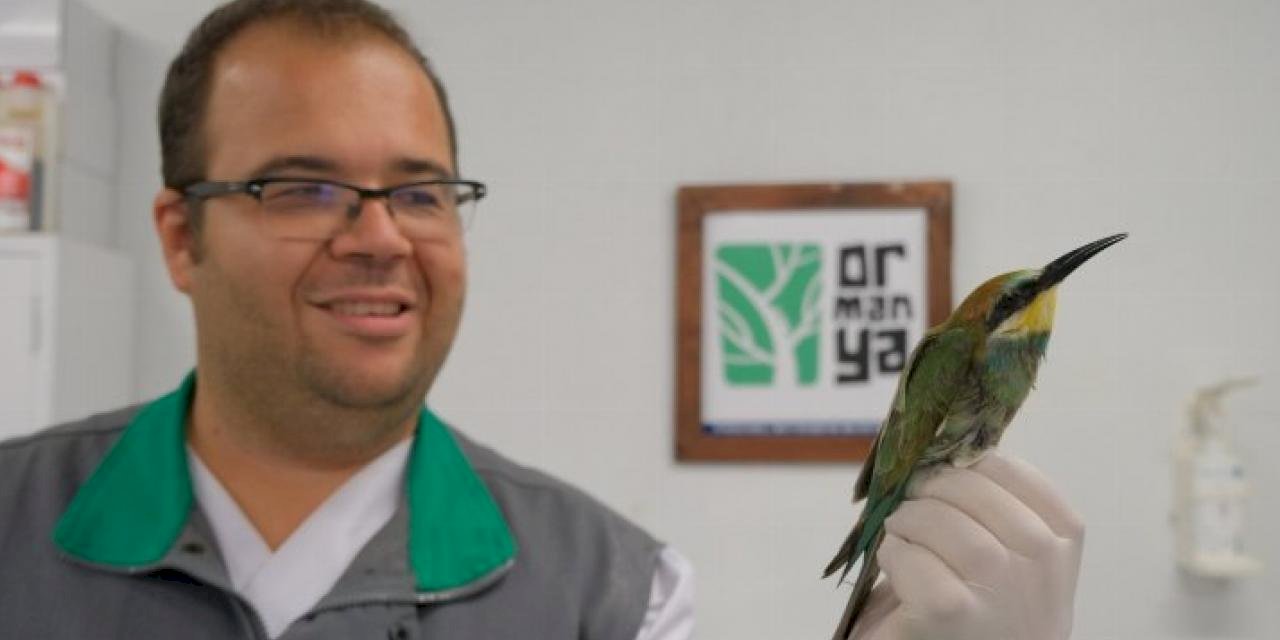 Bu güzelliğe nasıl kıydınız!