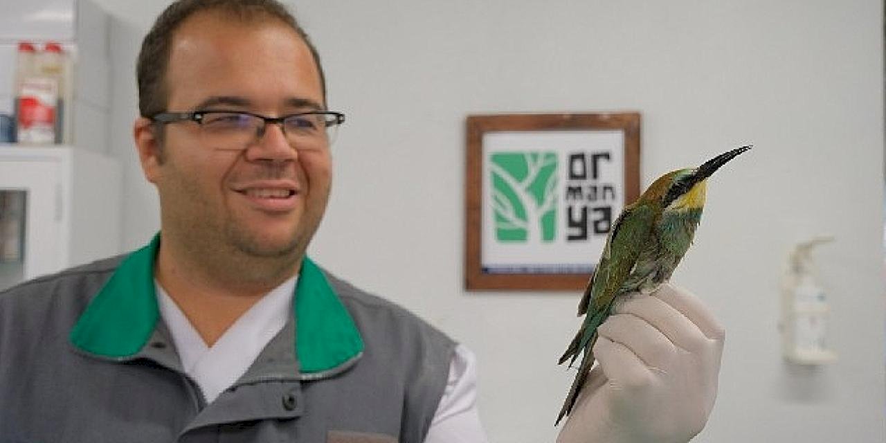 Bu Güzelliğe Nasıl Kıydınız