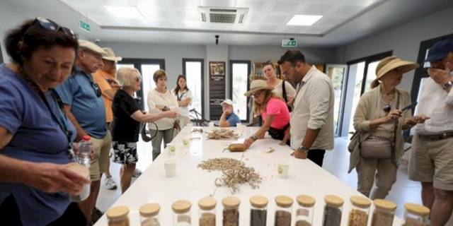 Efes Selçuk'ta agro turizm atağı