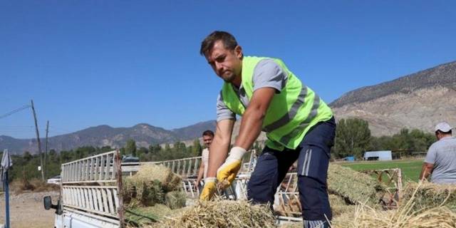 Eskişehir'de üreticilere yonca desteği