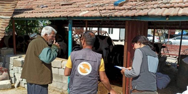 Afet bölgesinde yem ihtiyacı artıyor