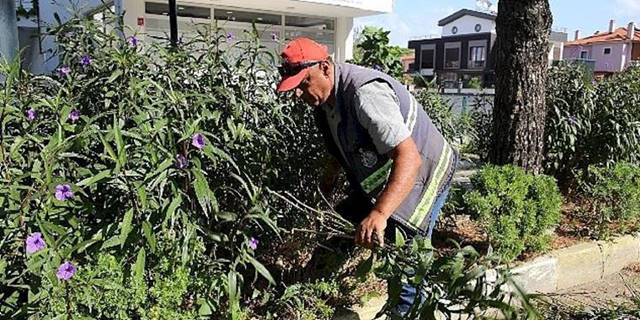 Burhaniye'nin Parklarında Yaz Sonu Bakımı Yapılıyor