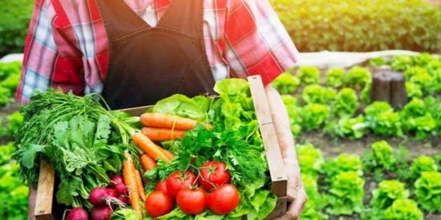 Organik tarım yaygınlaşıyor