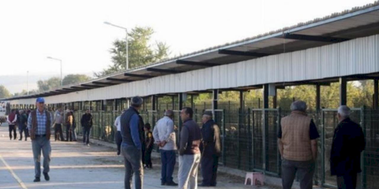 Bursa İnegöl'de hayvan pazarı geçici süreliğine kapalı
