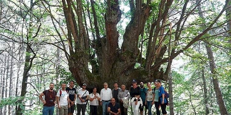 Efeler Yolu Projesine Uluslararası Ödül