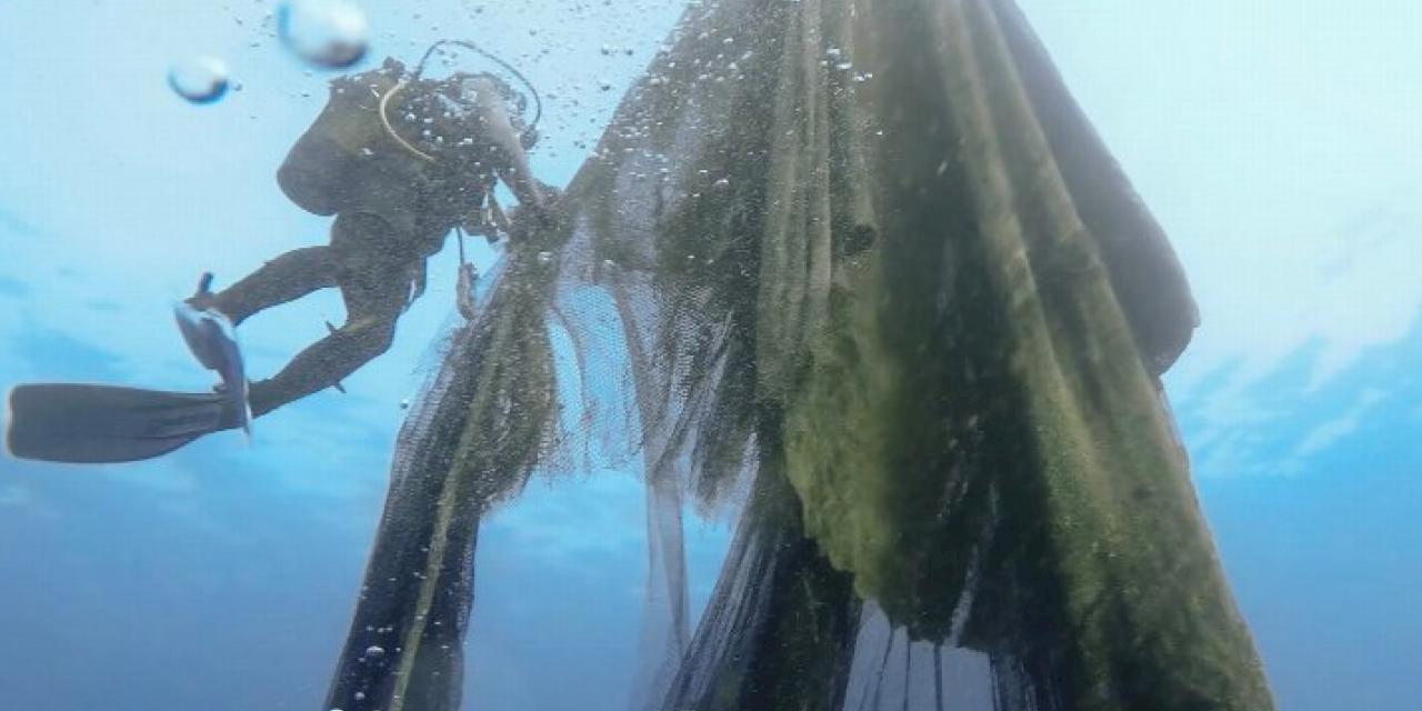 Hayalet ağlara geçit yok!