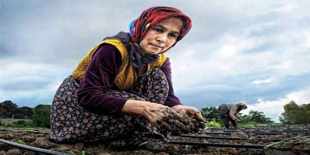 TÜDKİYEB: Çiftçi kadınların sosyal güvence sorunu olmamalı