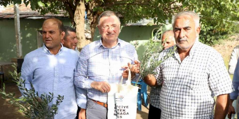 Hatay'da 50 bin çiftçiye meyve fidesi