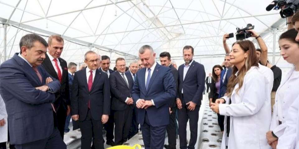 Kocaeli'nde öğrenciler  Ar-Ge serasında çilek yetiştiriyor