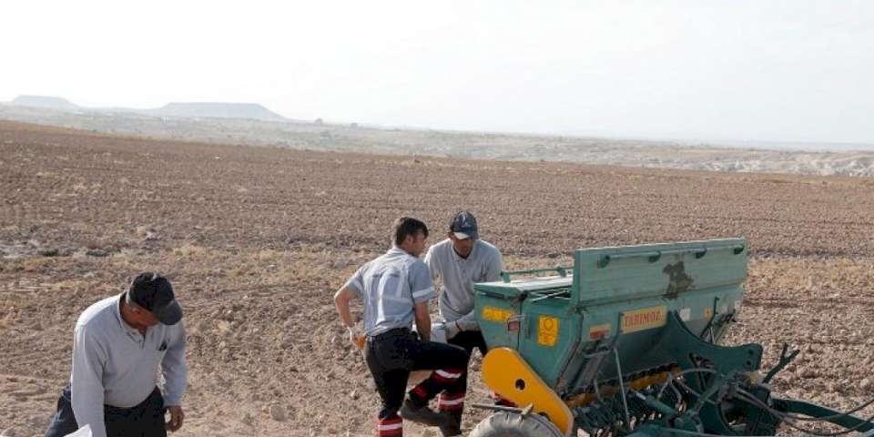 Nevşehir Belediyesi'nden yerli tohum ekimi