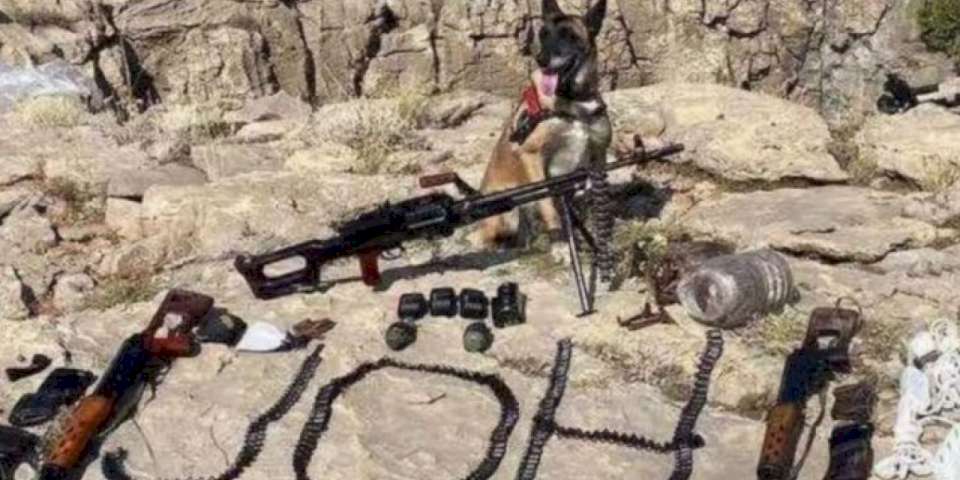 İçişleri'nden 8 ilde 'Kahramanlar' Operasyonu