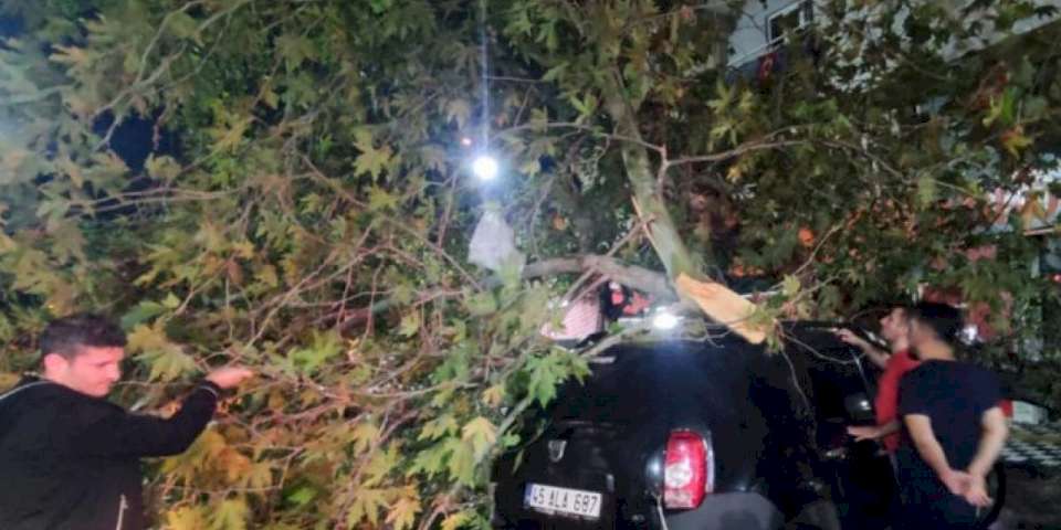 Manisa'da fırtına mesaisi!