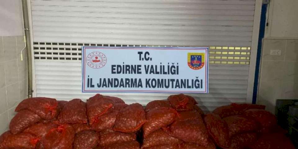 Enez'de kaçak kum midyesi yakalandı