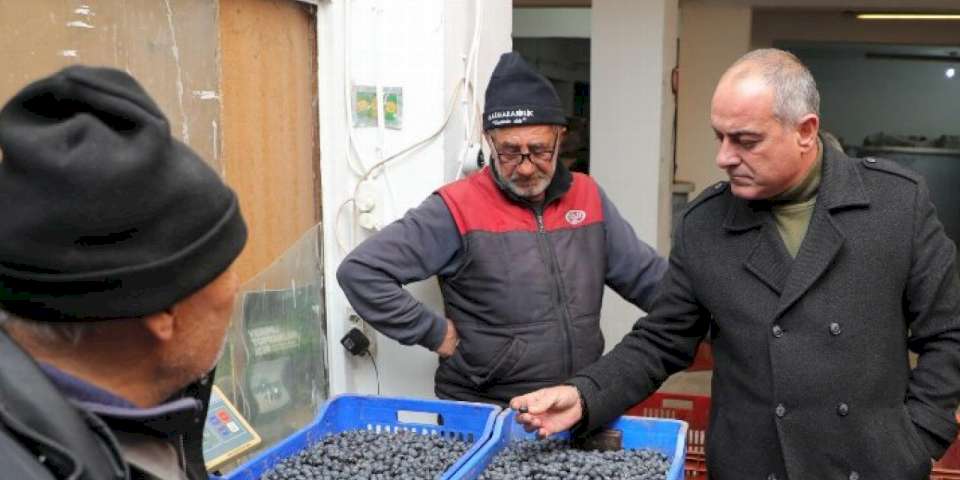 Gemlik zeytini alım fiyatları yüzde 20 arttı!