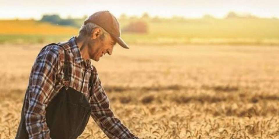 Tarımsal Girdi Fiyatları artışta!