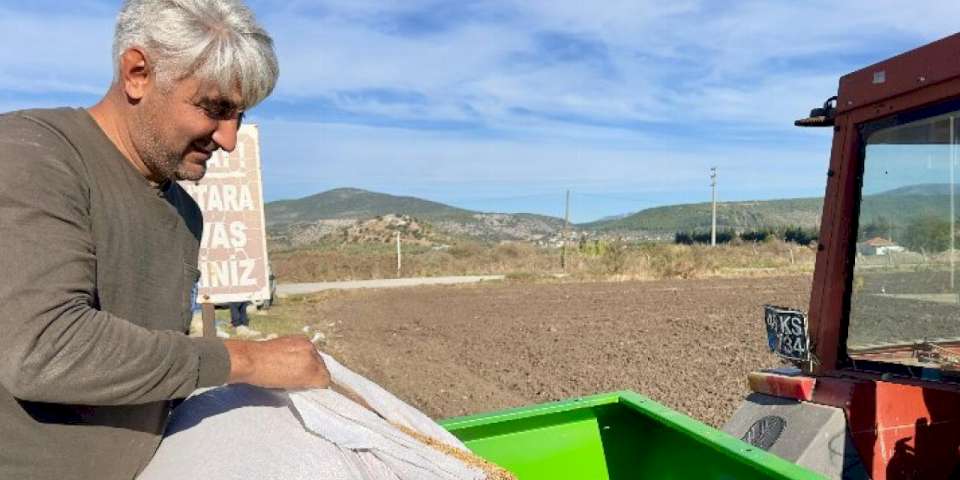 Milas'ta ata tohumları toprakla buluştu