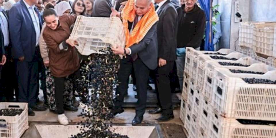 Zeytin üreticilerinin tesis sevinci