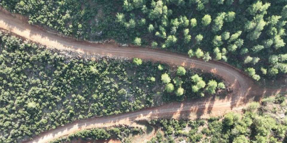 Hataylı üreticiler bu yolla nefes alacak