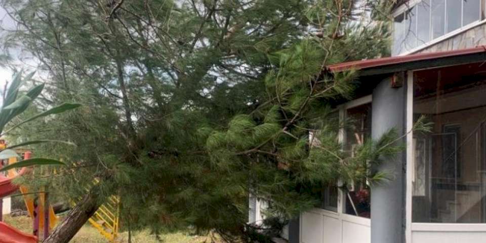 Edirne Keşan'da fırtına hasarı! Ağaç evin üzerine devrildi!