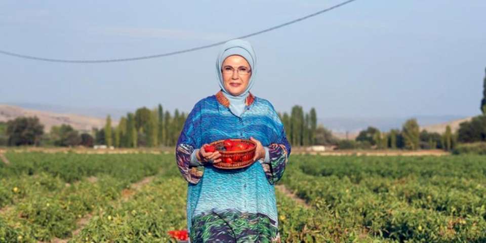 Emine Erdoğan'dan AB tescili alan Ayaş domatesi değerlendirmesi