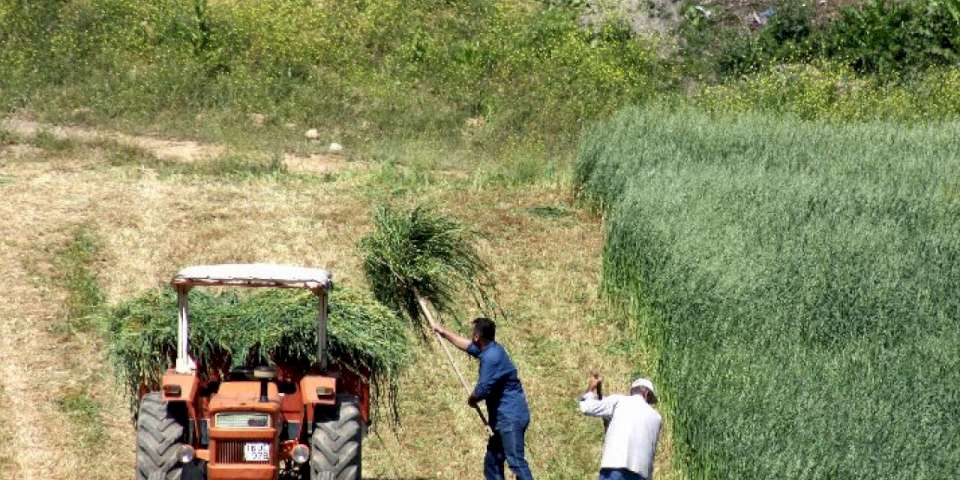 Bursa Mudanya'da çiftçilere ÇKS uyarısı