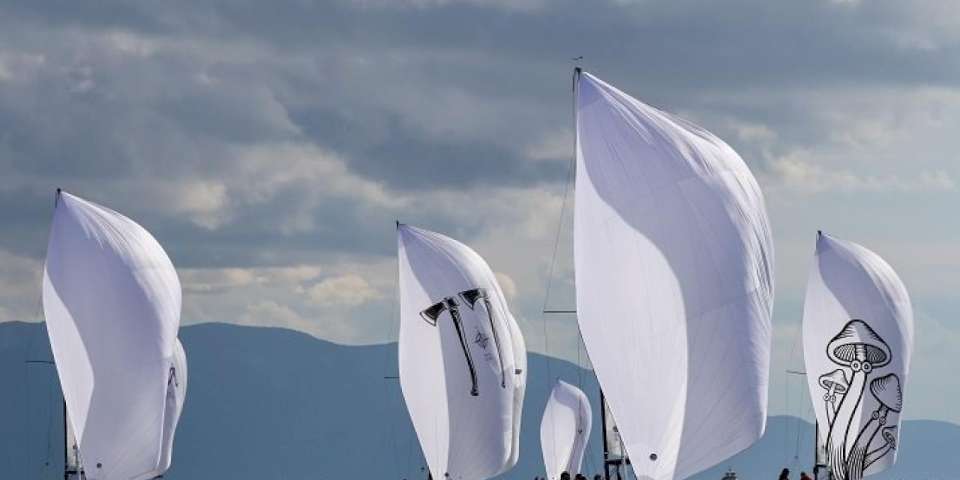 Tenzor International Cup yelken dünyasında ses getirdi