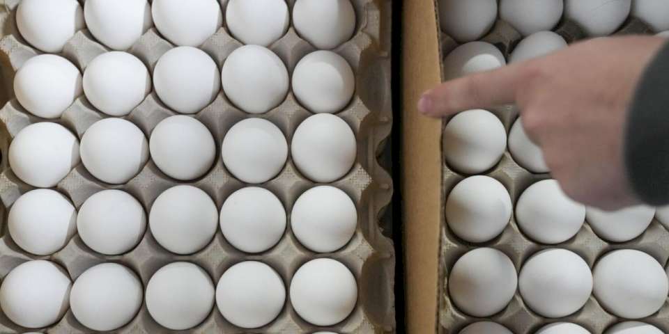 Rusya, Türkiye'den yumurta tedariklerine başlıyor