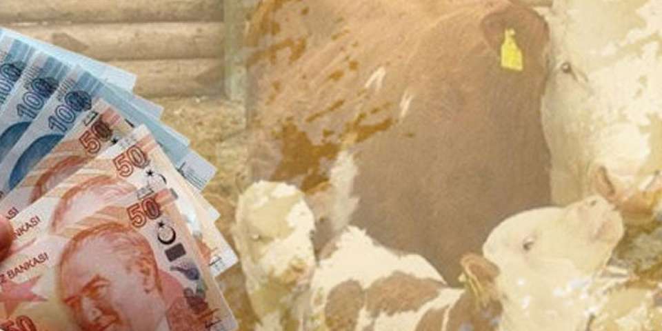 Tarımsal destekler bugün hesaplarda