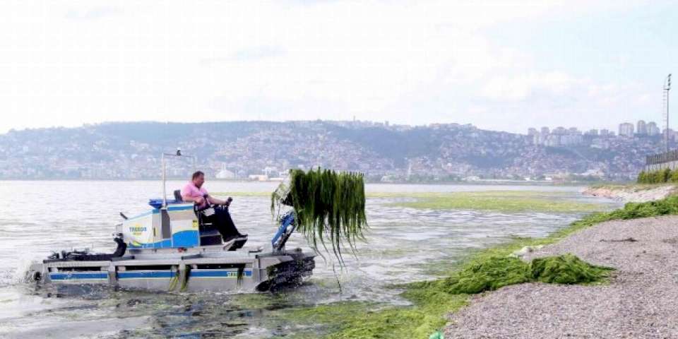 Dere, deniz ve kıyılardan 49 kamyon katı atık