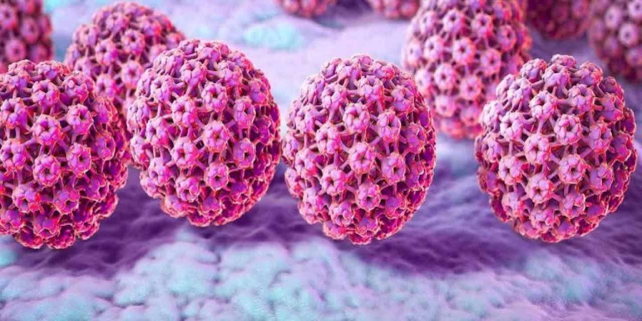 HPV (İnsan Papilloma Virüsü) Nedir?