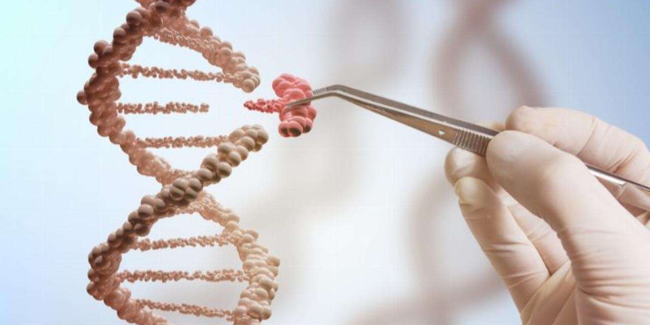 'Genom Çağı'na az kaldı!