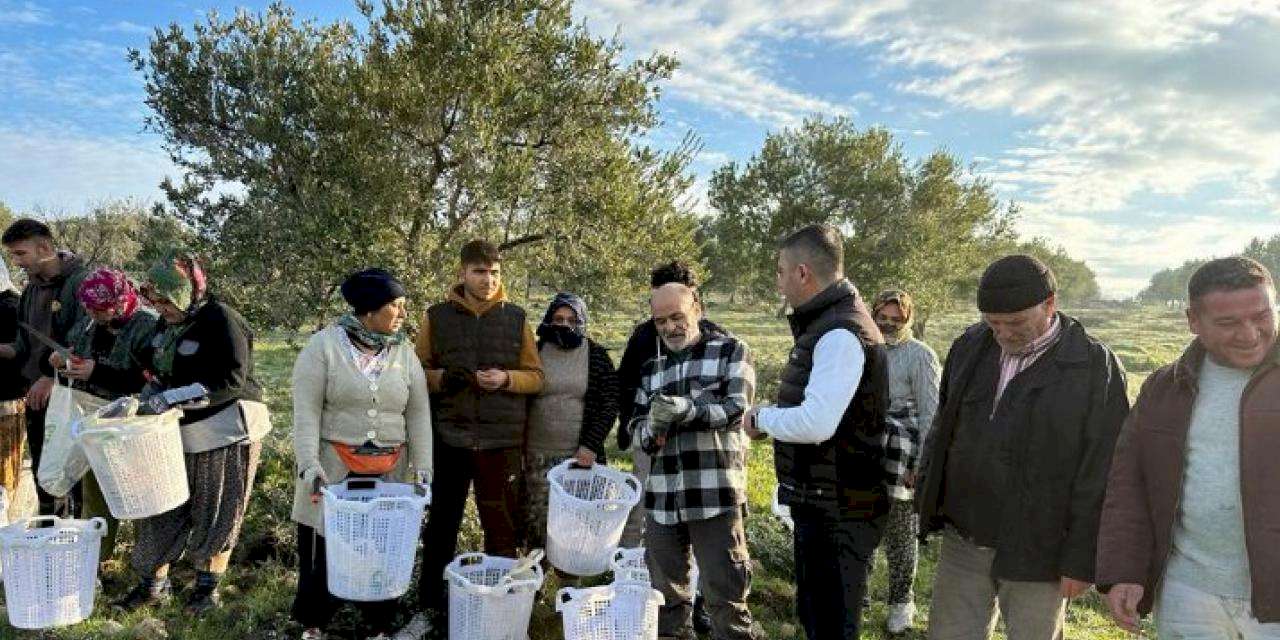 Manisa Akhisar'da zeytin üreticisine koruyucu malzeme